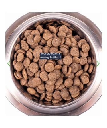 MONGE Dry food for dogs lamb rice potatoes 12kg