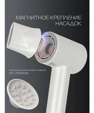 BAUM ZINDECH Feng for hair professional with nozzles - Buy Online on GoSupps.com