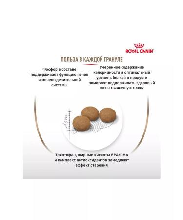 ROYAL CANIN Sterilated Ageing 12+ Feed for steril. cats from 12 years old 2 kg - Buy Online on GoSupps.com