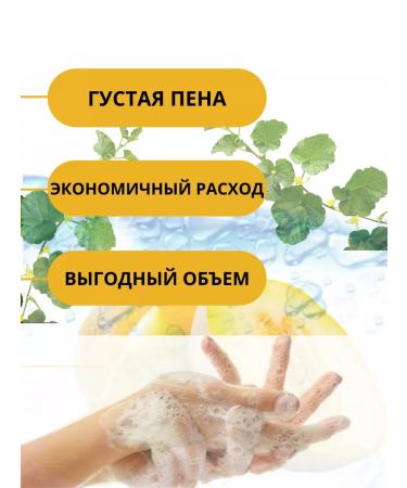 Gomel Fat Plant Liquid soap for hand 5 liters - Buy Online on GoSupps.com