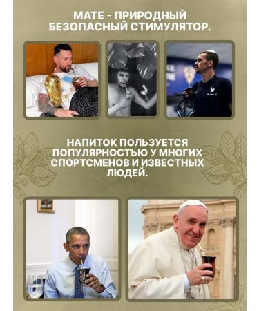 Mate Green Jerba Mate Fitness 400g. (with additives) - Buy Online on GoSupps.com