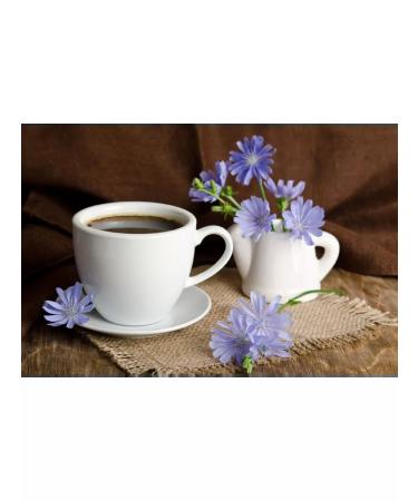 Tsikoria liquid extract "Health" 200 grams - Buy Online on GoSupps.com