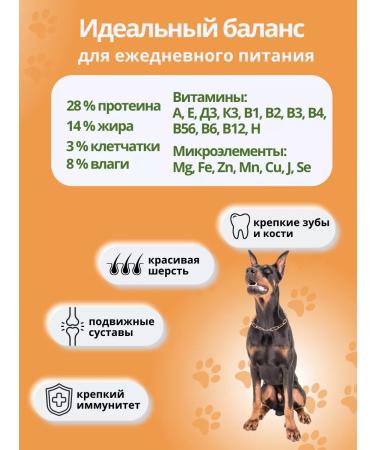 DILLY Dry food for active dogs - Buy Online on GoSupps.com