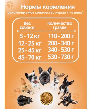 DILLY Dry food for active dogs - Buy Online on GoSupps.com