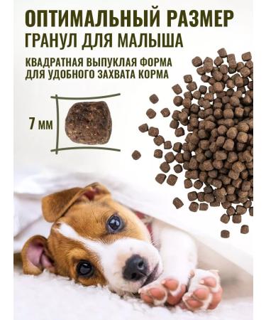 Country delicacies Dry food for puppies with chicken and rice 3kg - Buy Online on GoSupps.com