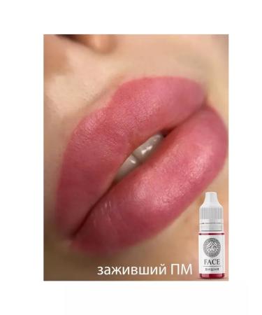 Face Company Face Pigments for the Permanent of the Cherry of Vishnia 6 ml - Buy Online on GoSupps.com