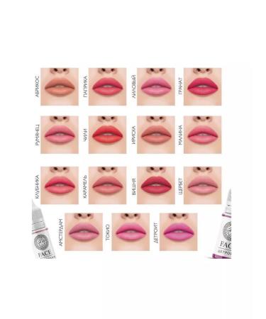 Face Company Face Pigments for the Permanent of the Cherry of Vishnia 6 ml - Buy Online on GoSupps.com