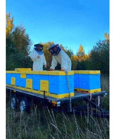 Marmol Honey Bee Pergen - Buy Online on GoSupps.com