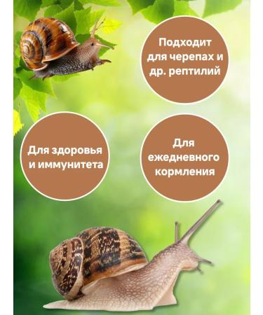 ZooElf A treat for snails fodder sticks - Buy Online on GoSupps.com