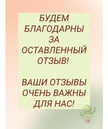 Evalar Tea for diabetes olijim 20 filter packages - Buy Online on GoSupps.com