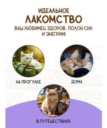 Country delicacies Delicate puree from chicken (4pcs 10g) - Buy Online on GoSupps.com