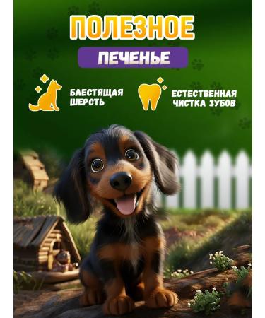 Country delicacies Cookies with lamb and pumpkin 1 packaging - Buy Online on GoSupps.com