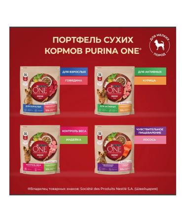 PURINA ONE Dog food for dry mini for small beef breeds 7 kg 2pcs - Buy Online on GoSupps.com