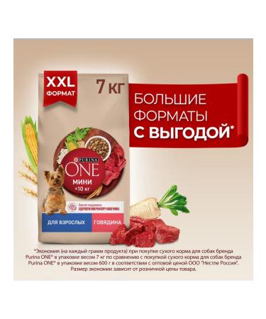 PURINA ONE Dog food for dry mini for small beef breeds 7 kg 2pcs - Buy Online on GoSupps.com