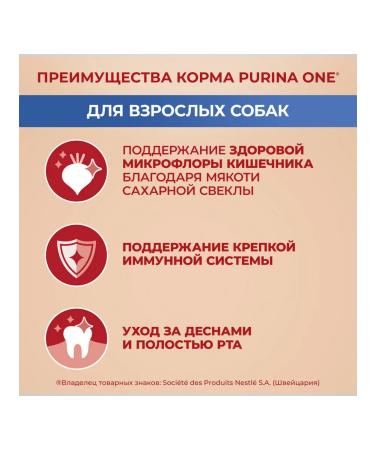 PURINA ONE Dog food for dry mini for small beef breeds 7 kg 2pcs - Buy Online on GoSupps.com