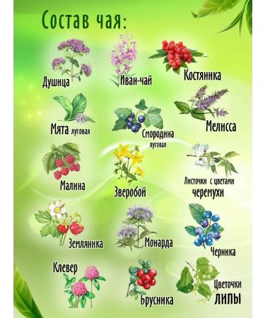 MossGreen Herbal tea - Buy Online on GoSupps.com