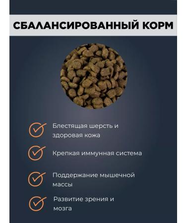 LiveRa Dog food dry with lamb and rice 0.7 kg - Buy Online on GoSupps.com