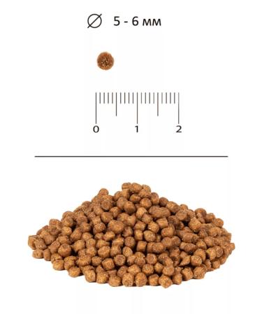 BLITZ Dry food Sensitive with turkey turkeys 400 grams - Buy Online on GoSupps.com