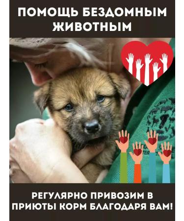 BLITZ Dry food with chicken for small dogs 2 kg - Buy Online on GoSupps.com