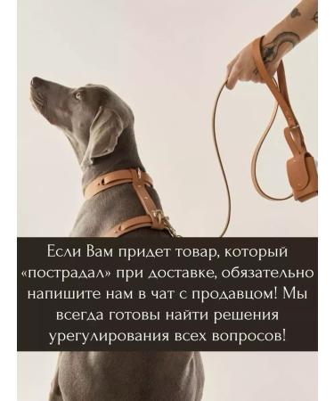 BLITZ Dry food Sensitive with a lamb for dogs 1.8 kg - Buy Online on GoSupps.com