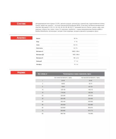 BLITZ Dry food with dog chicken 2 kg - Buy Online on GoSupps.com