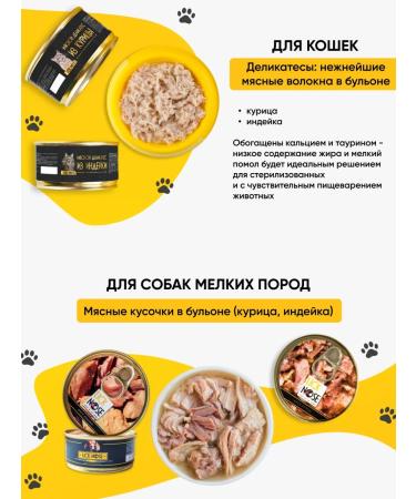 Lick Nose Salmon oil for dogs and cats 250 ml omega 3 - Buy Online on GoSupps.com