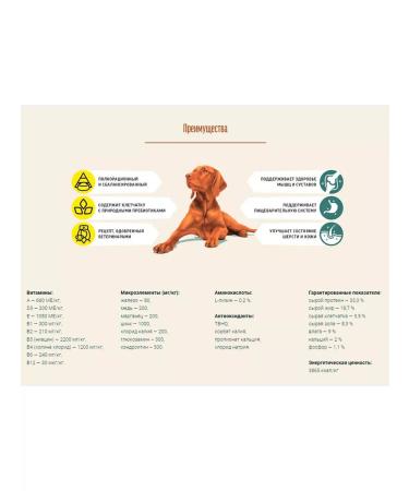 Country delicacies Feed Holistic Prime Minister of Middle Large Dogs turkey 7kg 2pcs - Buy Online on GoSupps.com