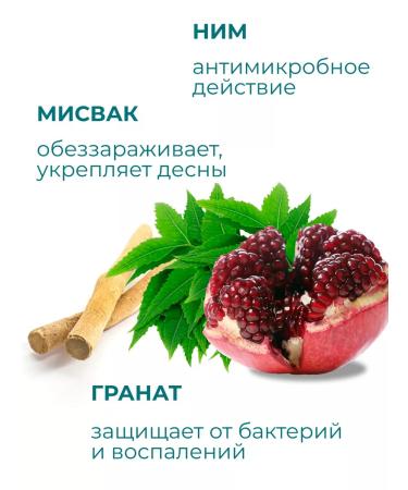 Himalaya Since 1930 Toothpaste with fluorine "preventive" 3 pcs. 100 ml - Buy Online on GoSupps.com