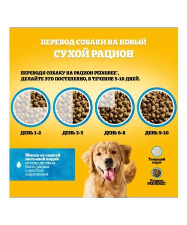 PEDIGREE For adult dogs of all breeds with beef 13 kg - Buy Online on GoSupps.com