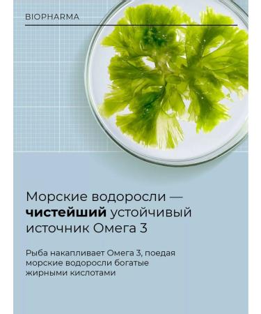 Biopharma Vegetarian omega 3 seaweed Vegetabilsk Omega-3 - Buy Online on GoSupps.com