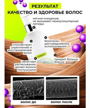 KOSAGALINILSEN Shampoo "for chemically processed hair" 500 ml - Buy Online on GoSupps.com