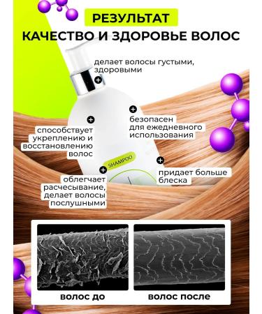 KOSAGALINILSEN Shampoo "For normal hair prone to oily" 1000 ml - Buy Online on GoSupps.com