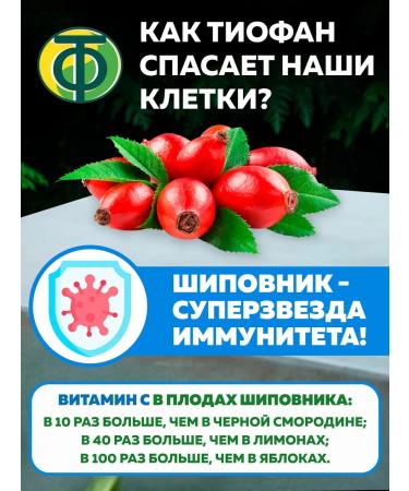 thio-phane Tiofan phyto-concentrate "Antioxidant" 2 pcs - Buy Online on GoSupps.com