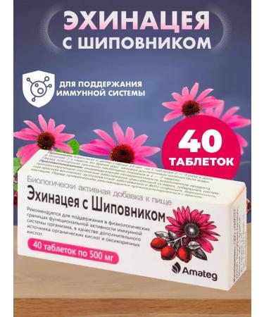 Amateg Echinacea with rose hips TAB500MG No. 40