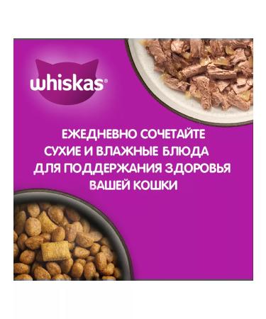 WHISKAS Dry food for cats pillows beef 3pcs of 800g - Buy Online on GoSupps.com