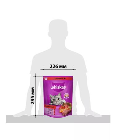 WHISKAS Dry food for cats pillows beef 3pcs of 800g - Buy Online on GoSupps.com
