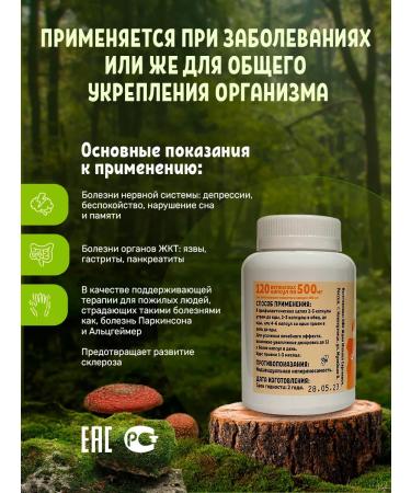 Mishina's apiary Ezhovik Channel mycelium in capsules 120 pieces 500 mg - Buy Online on GoSupps.com