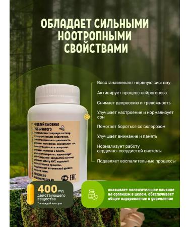 Mishina's apiary Ezhovik Chanbone mycelium in capsules 360 pieces 500 mg - Buy Online on GoSupps.com