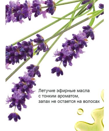 Taiga Territory Solid shampoo for sensitive leather lavender - Buy Online on GoSupps.com