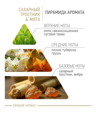 IQ BEAUTY Hand and body lotion sugarcane and mint 250ml - Buy Online on GoSupps.com