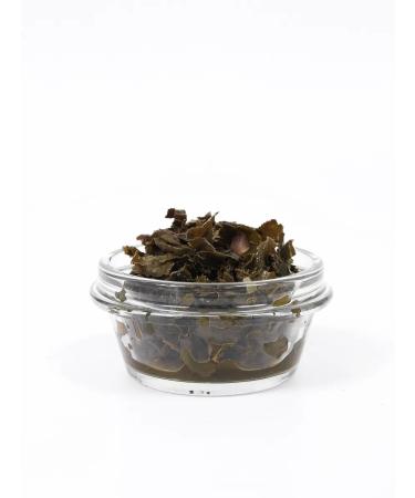 TeaLab Green oolnika ducklun 150 g - Buy Online on GoSupps.com