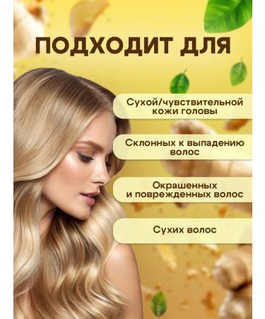GreenAurum Salusfant solid shampoo ginger for oily hair 2pcs - Buy Online on GoSupps.com