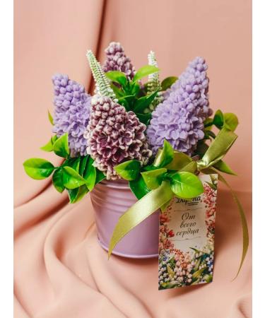 Soap workshop DARENA Handmade soap bouquet of lilacs - Buy Online on GoSupps.com