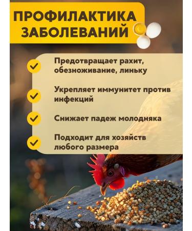 Zdravur For Neska chicken fodder additive 2pcs at 600g (1.2 kg) - Buy Online on GoSupps.com