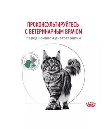 ROYAL CANIN Satiety Weight Management Cat Form Control of weight 1.5kg 2pcs - Buy Online on GoSupps.com