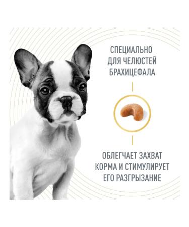 ROYAL CANIN Dry French Bulldog Feed for Puppies Bulldog 3 kg 2 pcs - Buy Online on GoSupps.com