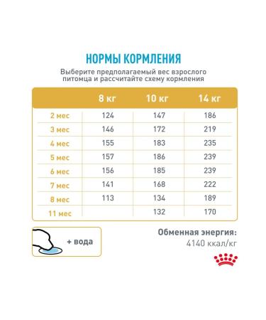 ROYAL CANIN Dry French Bulldog Feed for Puppies Bulldog 3 kg 2 pcs - Buy Online on GoSupps.com