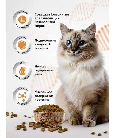 Miratorg Dry food for cats Expert Hepatic 400 g - Buy Online on GoSupps.com
