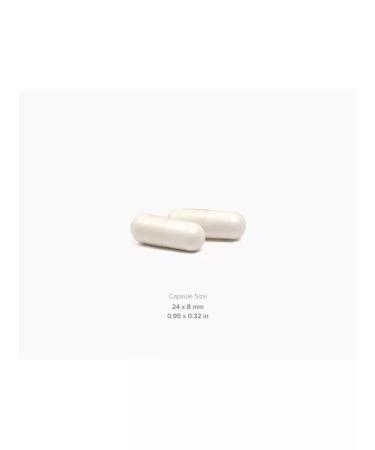 Maxler L-Carnitine Caps 750 mg 100 pcs - Buy Online on GoSupps.com