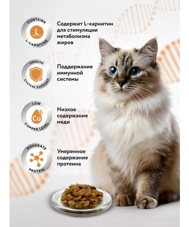 Miratorg Wet food for cats Expert Hepatic 80 g x 24 pcs - Buy Online on GoSupps.com